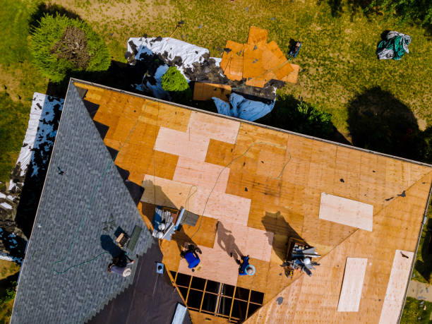 Best Roof Replacement Cost  in Dundee, OR